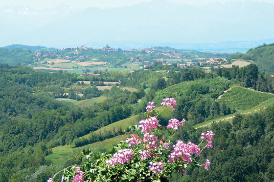 Agriturismo Cascina Zenevrea - photo 11