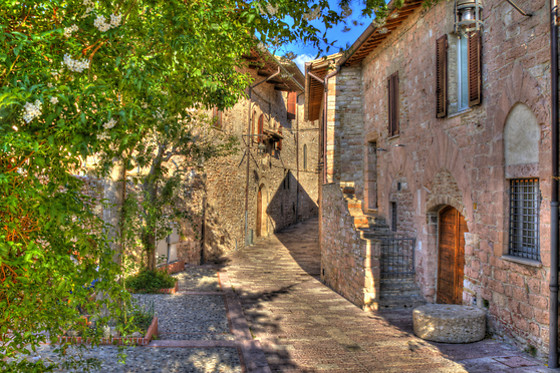 La Paterna di Rigomagno - photo 0