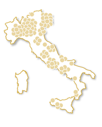 100% motori
