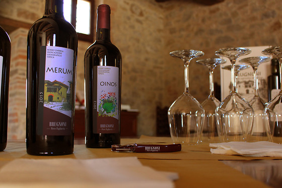Cantina Brugnoni - photo 3