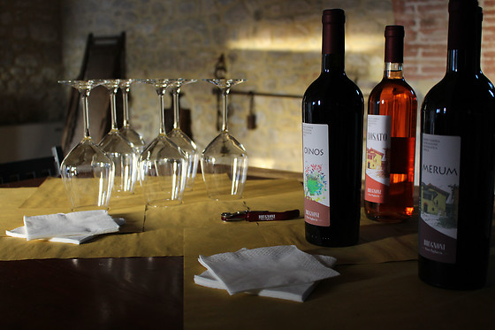 Cantina Brugnoni - photo 5