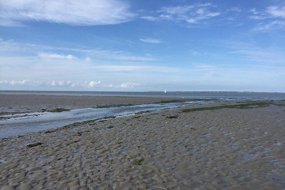 Wadlopen Pieterburen - photo 2