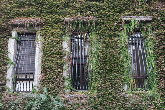 Federica - The Courtyard Hunter - photo 6
