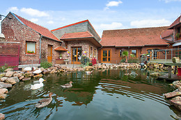 Les Canards de la Germaine