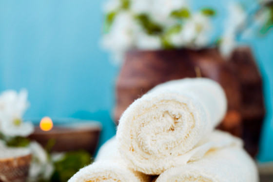 HOTEL BLANCAFORT SPA TERMAL - photo 5