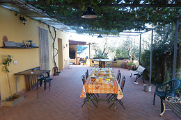 Il Cavallone Azienda Agricola - Azienda Agricola Il Cavallone di Nardi Francesco