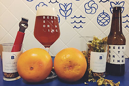 Beerstorming