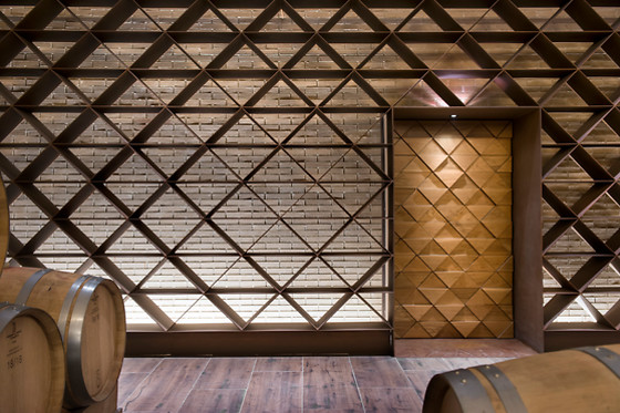 BODEGA FINCA VILLACRECES & BODEGA IZADI - photo 8