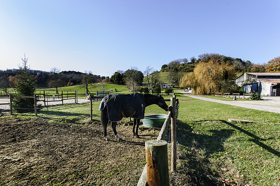 Domaine de la Trille - photo 5