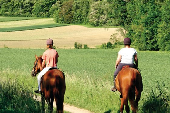 Un Poney, une histoire - photo 1