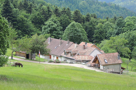Ferme SAXERMATT - photo 0
