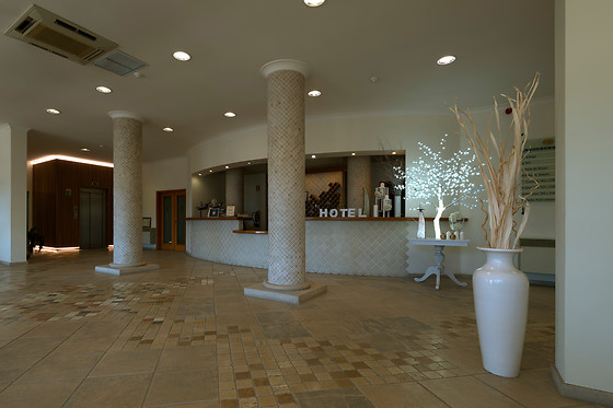 Anadia Cabecinho Hotel *** - photo 5