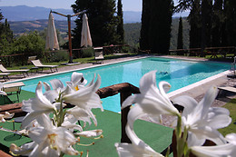 Agriturismo Borgo del Senatore