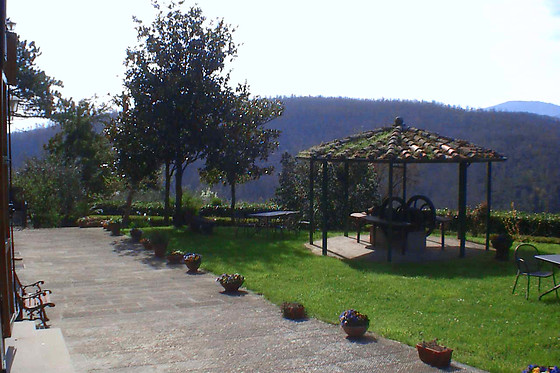 Agriturismo Borgo del Senatore - photo 7