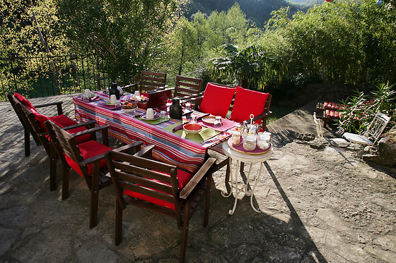 Le mas des pots rouges - photo 4