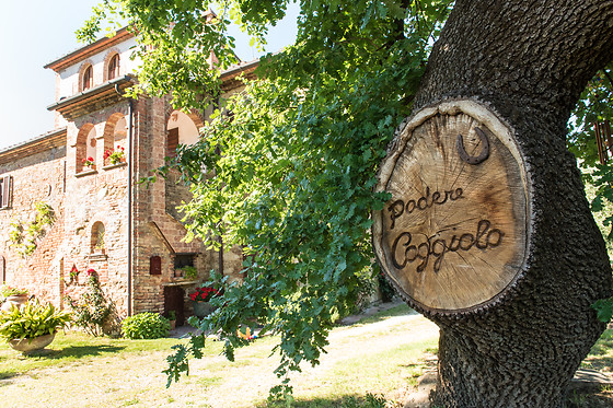 Agriturismo Podere Caggiolo - photo 11
