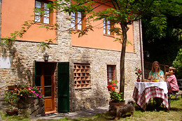 Fattoria di Petrognano