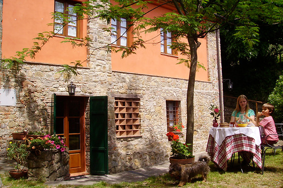 Fattoria di Petrognano - photo 1