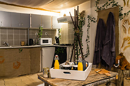 Préhistogîte