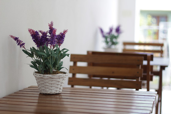 Elicrim - photo 4