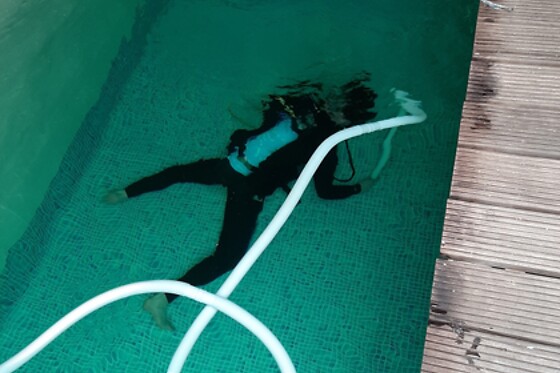 Diving Force - photo 1