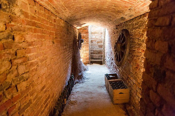 Bajaj - Cantina & Agriturismo - photo 6