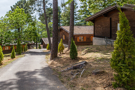 Il Ciocco - photo 5