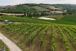 Azienda Agricola Bartolacci