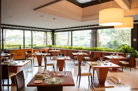 Villa Maria Hotel & SPA - photo 5