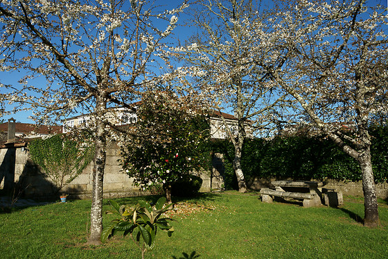 PAZO ALMUZARA - photo 13