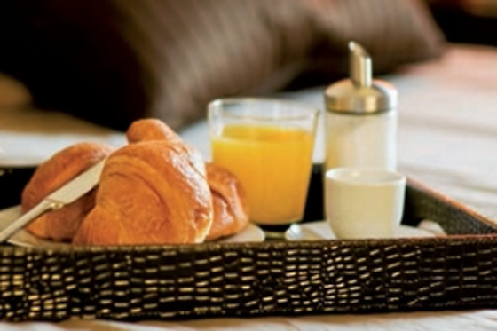 Hotel Lodi - photo 2