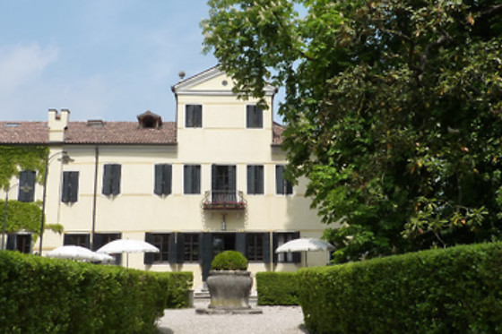 Hotel Villa Alberti - photo 5
