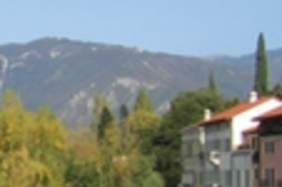 Ivan Team - photo 1