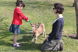 La Ferme des Pignons