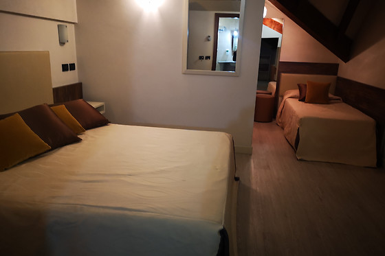 Hotel Le Palme - photo 4
