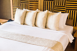 HOTEL ARAZ