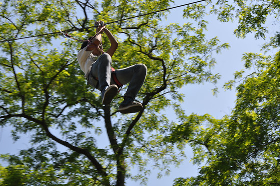 Natura Game - photo 0