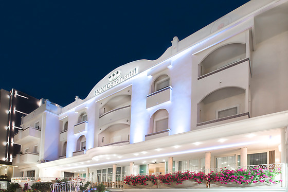 Hotel Continental - photo 2